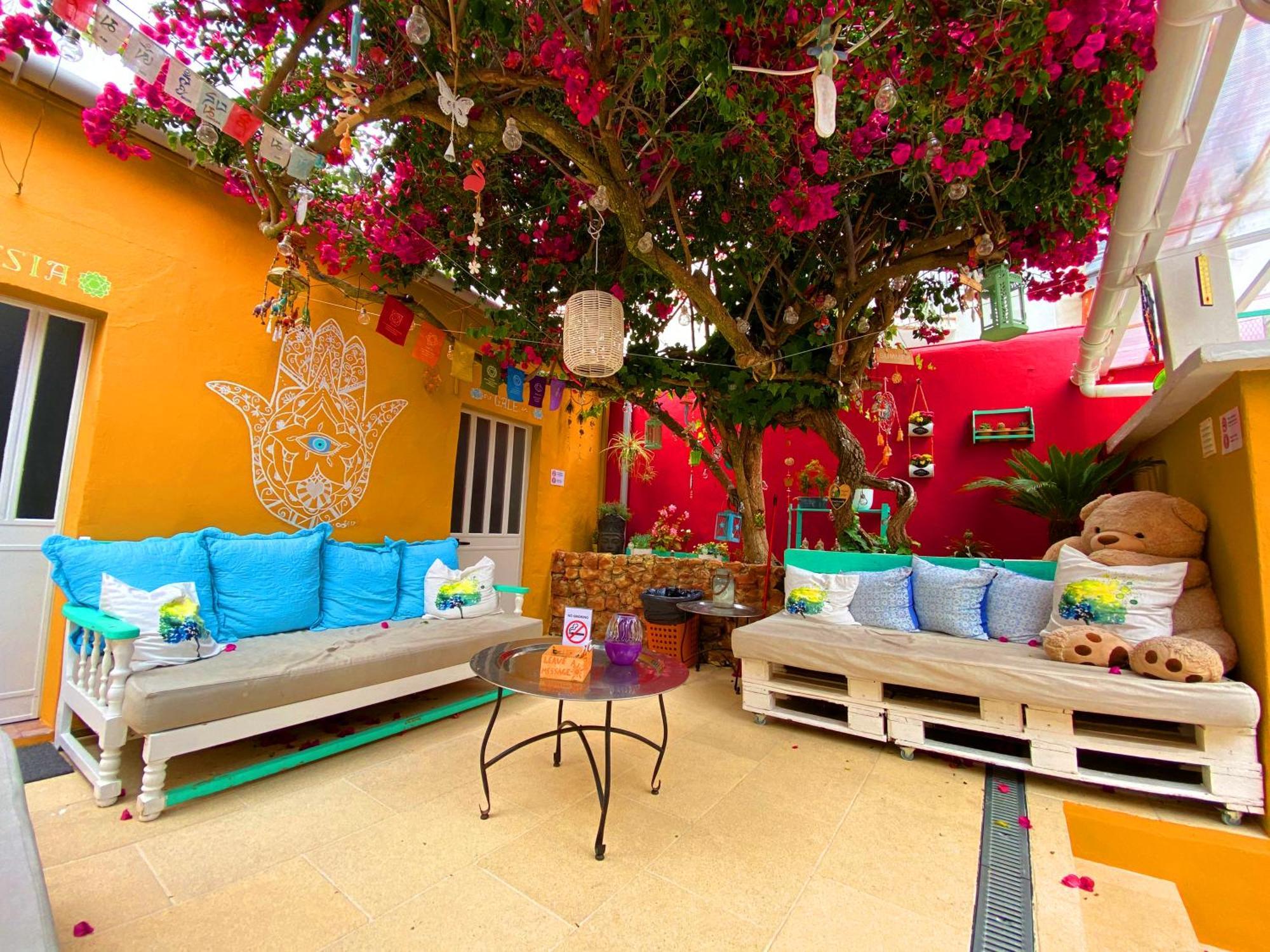 אלבופיירה Orange Terrace Hostel מראה חיצוני תמונה